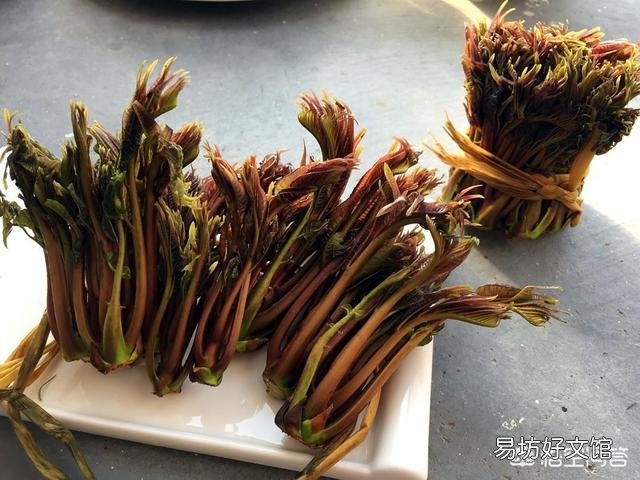 农村种植香椿为什么只吃头两茬,第三茬开始为什么不能吃?