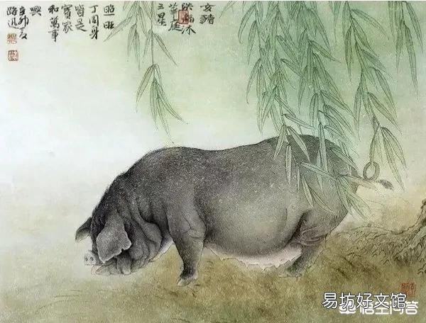 猪不喂饲料的情况下单单喂菜叶米糠玉米粉多久能长到200斤?