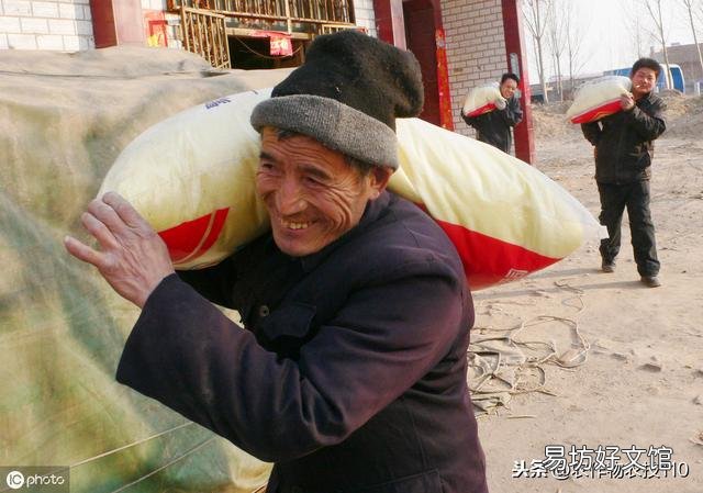 水稻的种植步骤有哪些?有什么先后讲究吗?