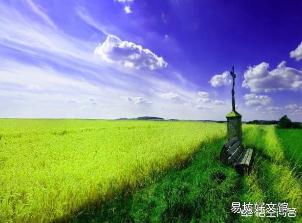 现在小麦打除草剂,需要注意些什么问题?
