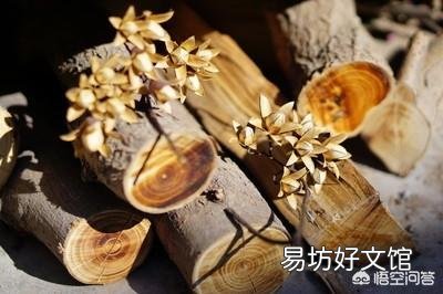 过去有些农村为啥爱用椿树做婚床?有什么益处呢?