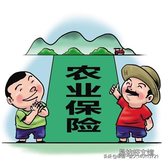 农业小麦玉米保险是必须要交的吗?倒伏了能赔多少?