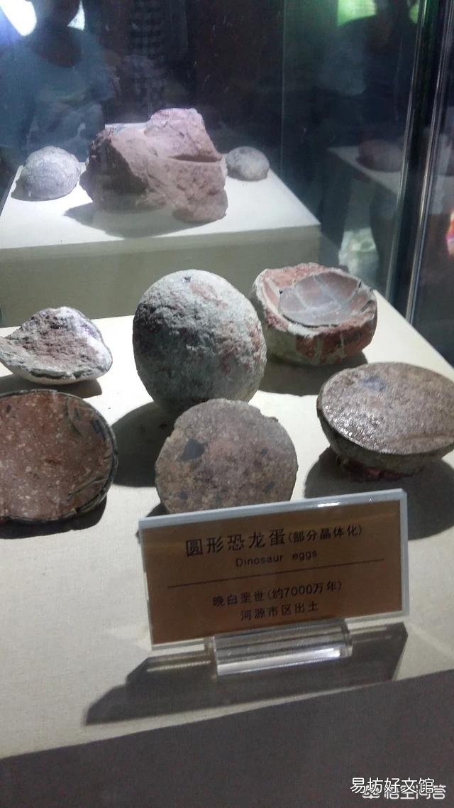 母鸡孵了几天又停再孵还行吗?