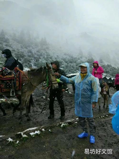 蛇友邀您对:舟迎隔岭迟来月,请接联?
