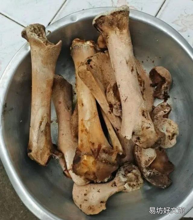 骨头和肉沤肥水多久能浇花?