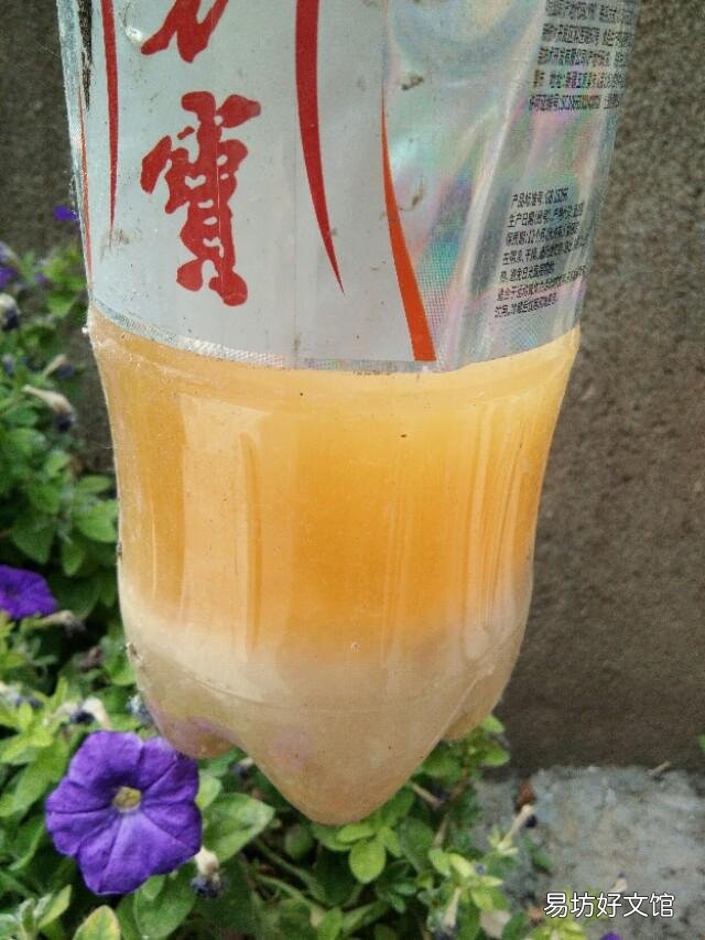 骨头和肉沤肥水多久能浇花?
