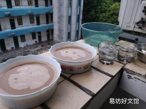 碗莲种下后多久发芽,开花?