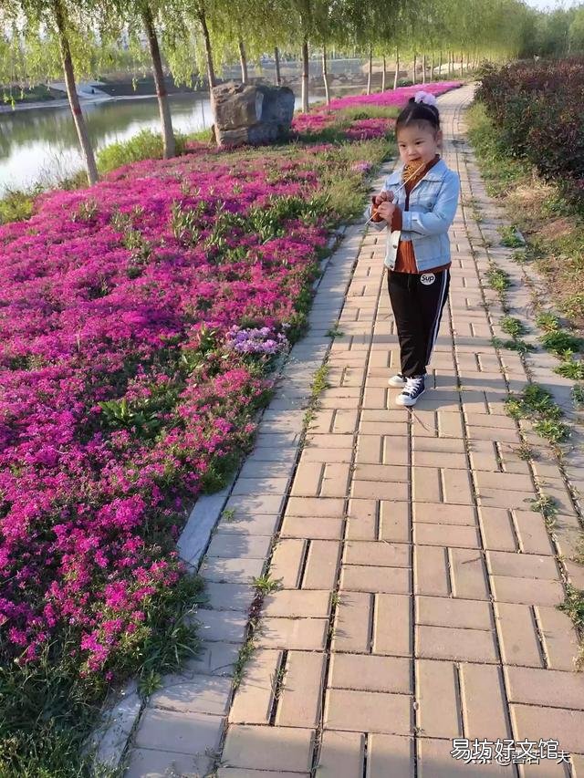 新手养花该注意什么？