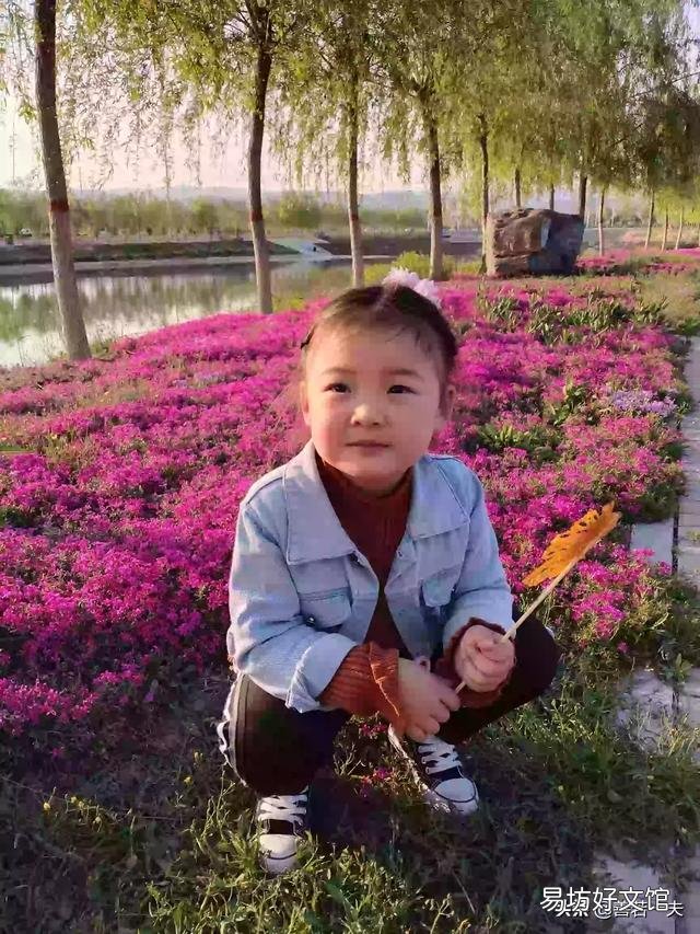 新手养花该注意什么？