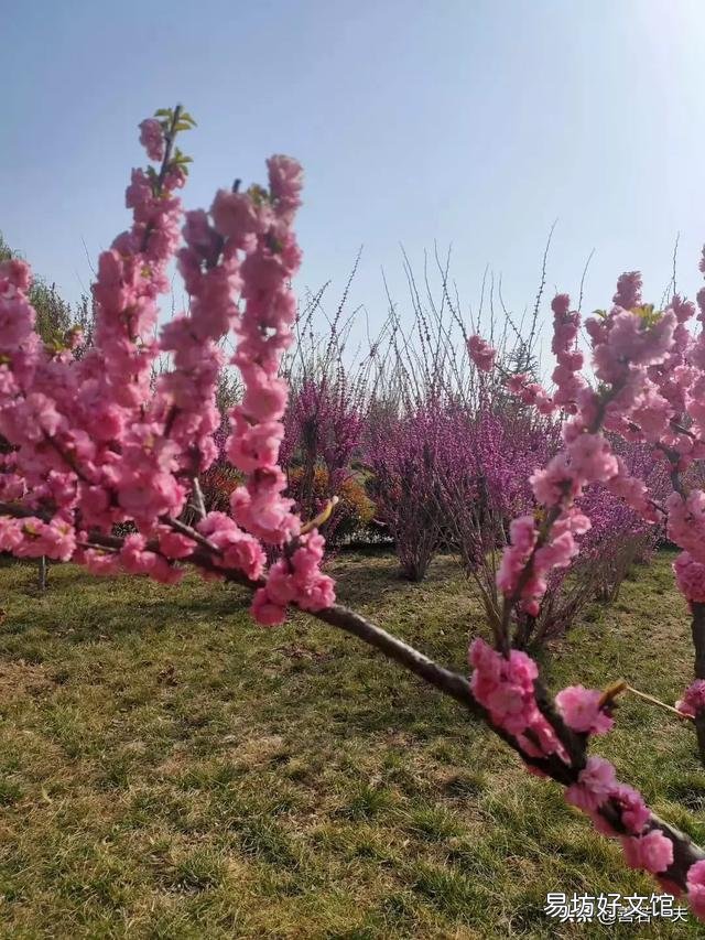 新手养花该注意什么？