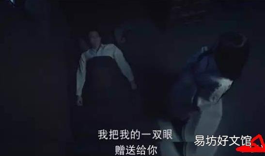 深入解说灵魂摆渡剧情 灵魂摆渡全局解析眼睛