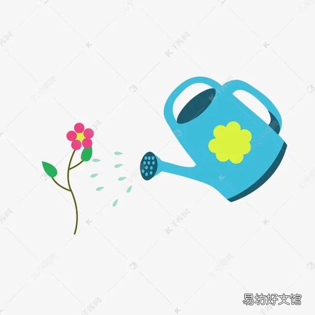家中养花什么时间浇水合适?