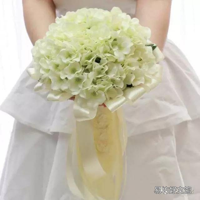 怎样才能养好绣球花?
