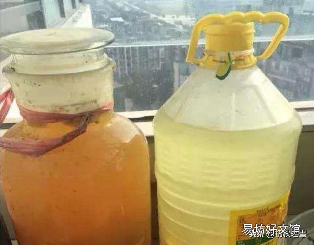 骨粉给盆栽施肥是否要发酵?