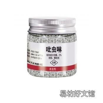 琴叶榕的土壤里很多黑色的小飞蚊怎么除掉?