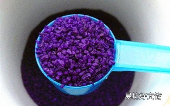 琴叶榕的土壤里很多黑色的小飞蚊怎么除掉?