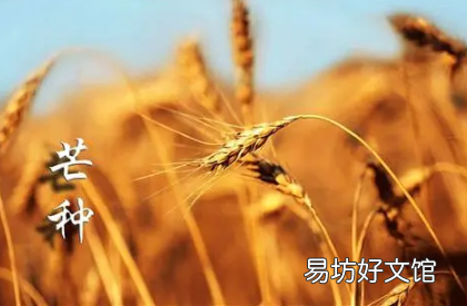 土命芒种交运交几天 土命人都是芒种后九天换运吗