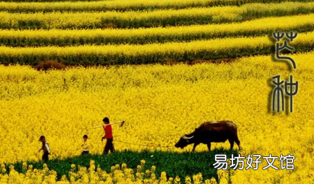 土命芒种交运交几天 土命人都是芒种后九天换运吗