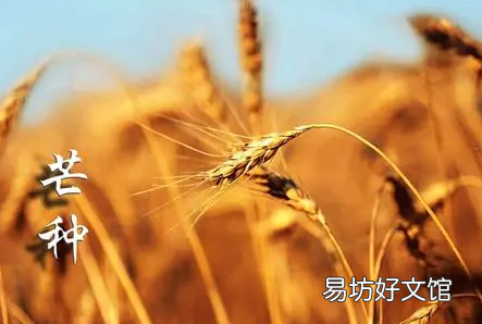 芒种后九天交运哪些要注意的 ?2022芒种后九天交运包括当天吗