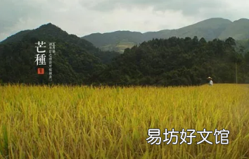 芒种后九天交运哪些要注意的 ?2022芒种后九天交运包括当天吗