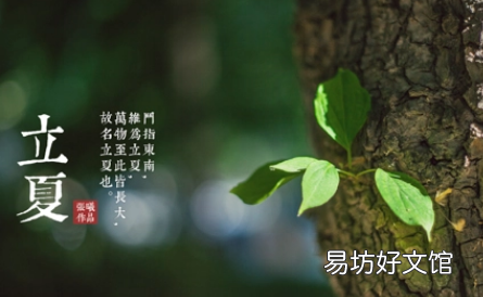 立夏饮食上有什么注意的 立夏来临之际补什么最好