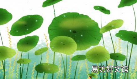 立夏饮食上有什么注意的 立夏来临之际补什么最好