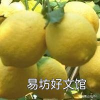 万能的头条,家里的柠檬树怎么才能养得好?