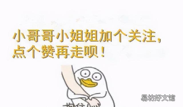 布偶猫的品种及价格(布偶猫的品种及价格及图片)