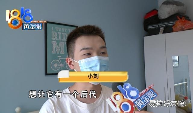 银点猫多少钱一只(长毛银点猫多少钱一只)