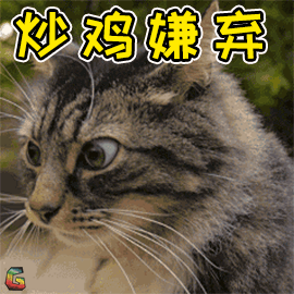 曼基康猫多少钱一只(乳白曼基康猫多少钱一只)