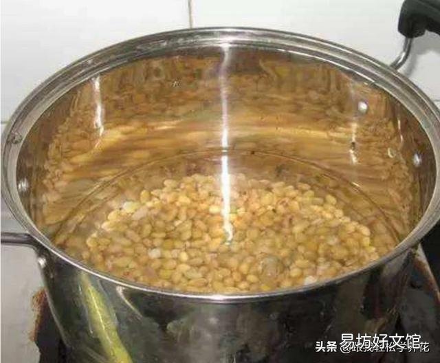 文竹和发财树浇黄豆水适合吗?