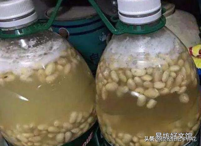 文竹和发财树浇黄豆水适合吗?