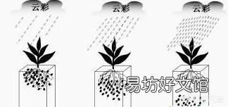 移栽月季时盆底撒入复合肥可以吗？