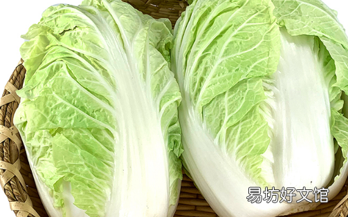 大白菜应该怎样保存 大白菜放冰箱冷藏好吗