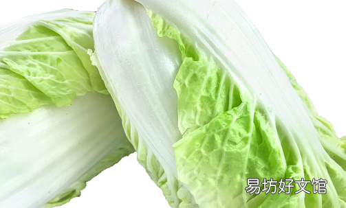 大白菜应该怎样保存 大白菜放冰箱冷藏好吗