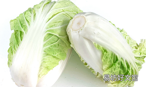 大白菜应该怎样保存 大白菜放冰箱冷藏好吗