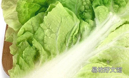 大白菜应该怎样保存 大白菜放冰箱冷藏好吗