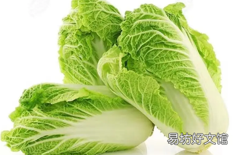 白菜可以隔夜吃吗 白菜不放冰箱可以放多久