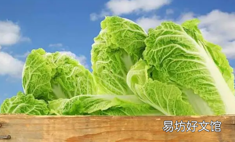 白菜可以隔夜吃吗 白菜不放冰箱可以放多久