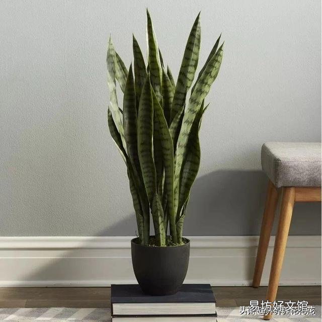 如何制作水肥？