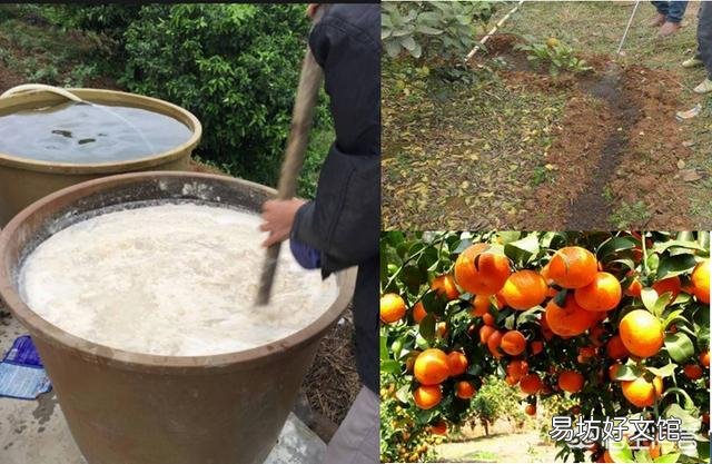 如何制作水肥？