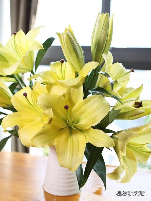 你认为百合花什么季节种植最好?