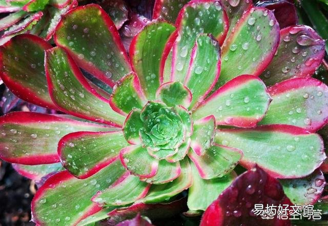 法师多少度可以湿土上盆？