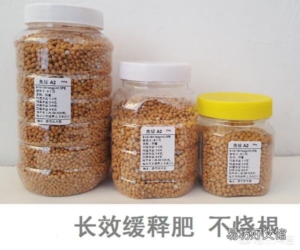 长寿花施什么肥？