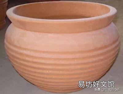 盆栽的蝴蝶兰夏季烂叶不烂根是什么情况?