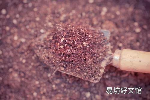 种沙漠玫瑰最好用什么土?