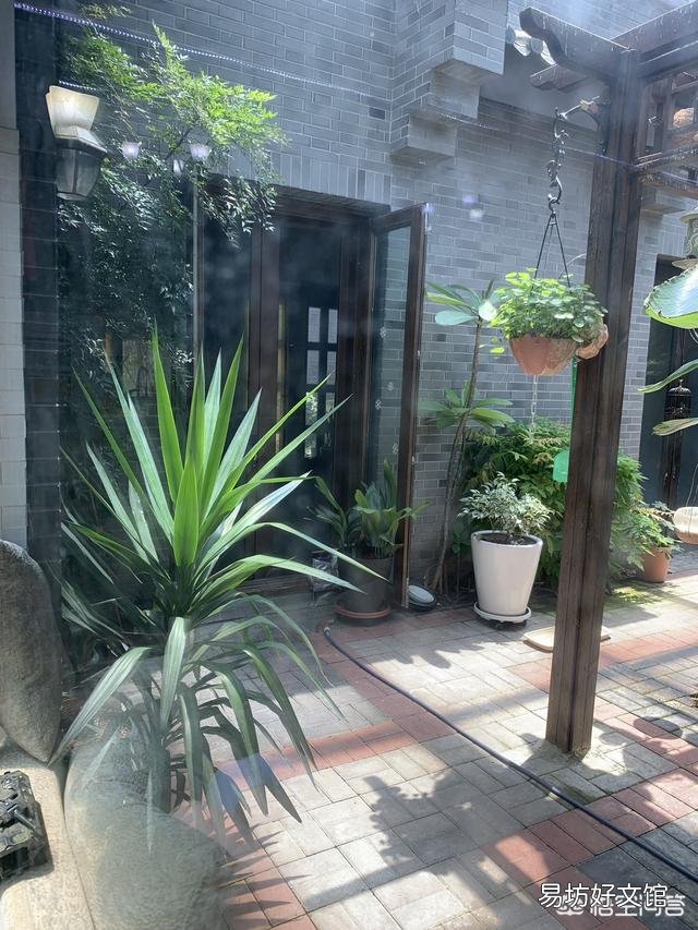玻璃阳光房内为什么养不好盆栽的花卉?