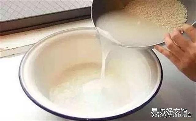 洗米水可以浇金枝玉叶吗？