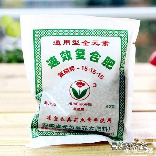 家养的龙骨花夏季放在外面经常晒太阳好不好?