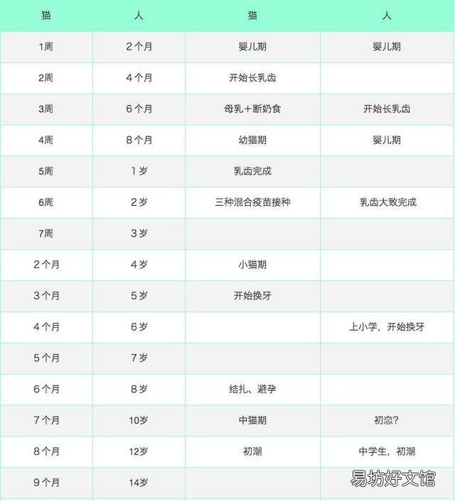 猫3岁相当于人多少岁(3岁的猫相当于人几岁)